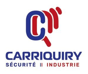 Logo de Carriquiry
